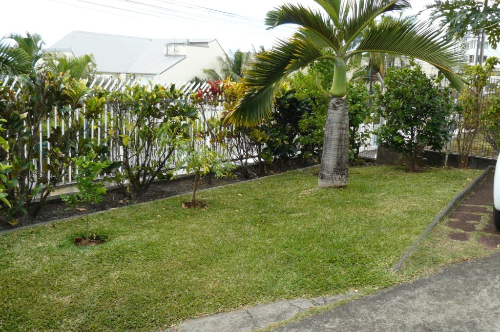 Petit Jardin